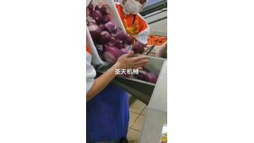 Onion Dicing Machine  