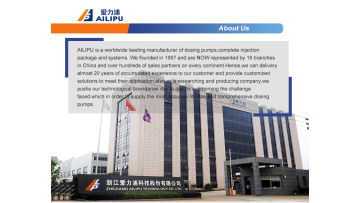 our company company