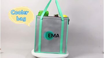 Non Woven Shopping Bag