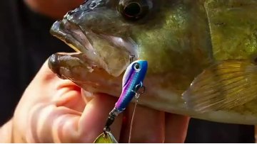 Truscend spinnerbait pike bass trout silicon hard metal tungsten cranking spinner spoon fishing lures for saltwater1