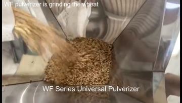 WF pulverizer
