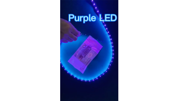 UV LED SMD for Purple LED Strip Light 