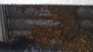 step screen 1