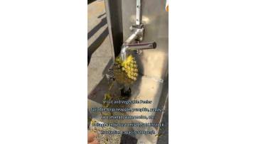 ST-XP1 Pineapple Peeling Machine Pumpkin Peeling Machine