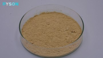 Hericium erinaceus Extract fruit