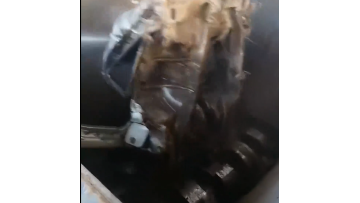 Car Shredder
