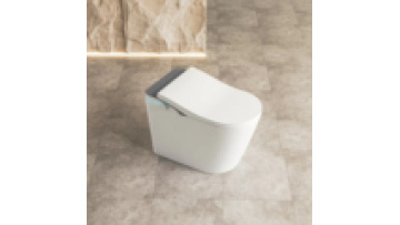 Wholesale Modern One Piece Electric Smart Toilet MJ-ST011
