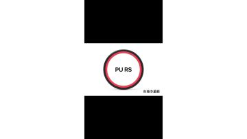 Products PU RS