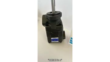 KCEICE V20-1P13P-1A-11 Hydraulic pump