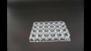 culture plate