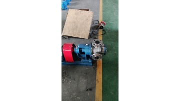 Rotary pump NYP series positive displacement rotor pumptainless steel glue pump1
