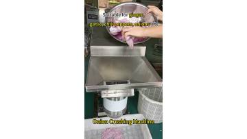 Onion Crushing Machine