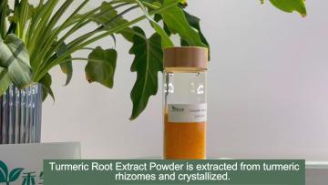 pure turmeric extract curcumin powder
