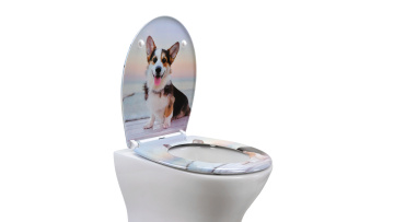 Toilet seat UF819-47