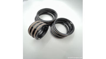 Special seal for SPGW piston seal07