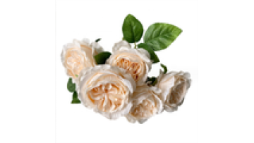 Hot Selling Austin David Artificial Rose Bushes - 6 Heads for Sale1
