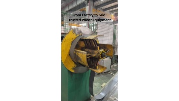 Balanced solution for hose comprehensive performance and overall project procurement‑budget constraints