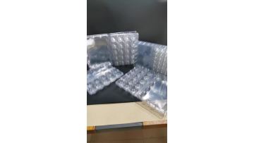 Plastic 24 grids egg tray