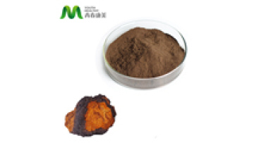 Top Quality Herb Extract 30% Chaga Mushroom Powder Extract Polysaccharide Chaga Mushroom Extract Powder1