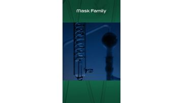 Fission Yeast Fine Lines & Firming Dual-Use