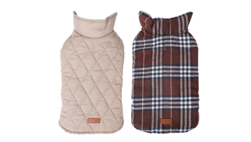 dog winter coat