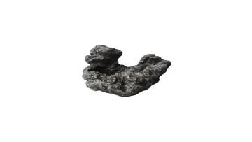 reptil food bowl