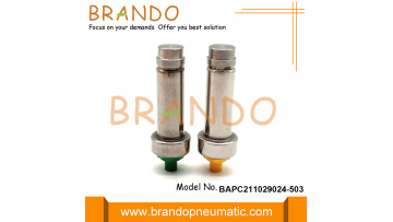 BAPC211029024-503GY