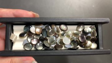 Black Mother of Pearl QF-0732