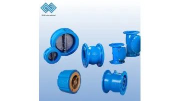 OEM DN50 Ductile Iron Pn10 Pn16 Pn25 Flanged Spring Load Silent Check Valve with Flange Ends1