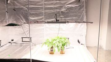 1000W led grow light