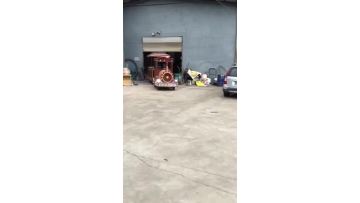electric sightseeing trackless train