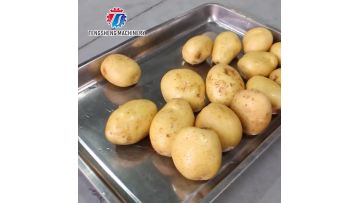 TS-Q500D heavy duty commercial potato slicer machine