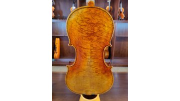 violin-GF-EUA-14
