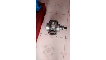 YCB Plant oil pump High pressure pump stainless steel 304 gear pump1