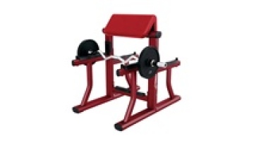 Arm Preacher Curl Bench