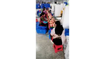 orange packing machine