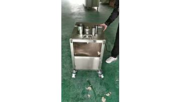 Apple slicing machine 