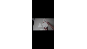 triangular pizza packing box