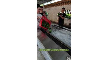 Small Lemon Cleaning and Juicing Line