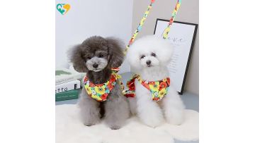 dog dress harness