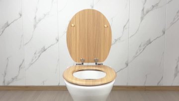 Fanmitrk Toilet Seat SD112LT13612-53