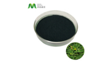 Healthcare Organic Bulk Private Label Chlorophyll Natural1