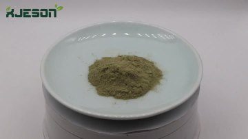 Corosolic Acid 