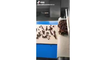 Fully Continuous Bread Processing Line