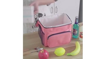 New Small 6L Soft Insulated Lunch Box Tote Cooler Bag Kids Custom Logo Travel Cooling Picnic Lunch Bag For Trip Works Camping1