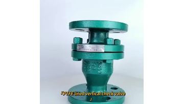  Fluorine lined check valve