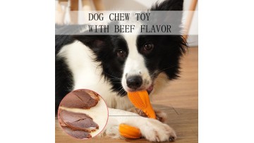 TEETH CLEAN TOY