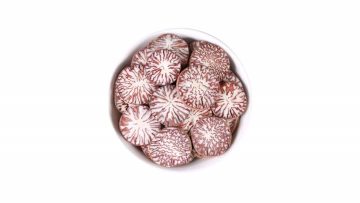 Betelnutpalm Seed