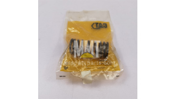 Valve Spring 247-9908