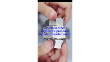 stainless steel fittings - high pressure union